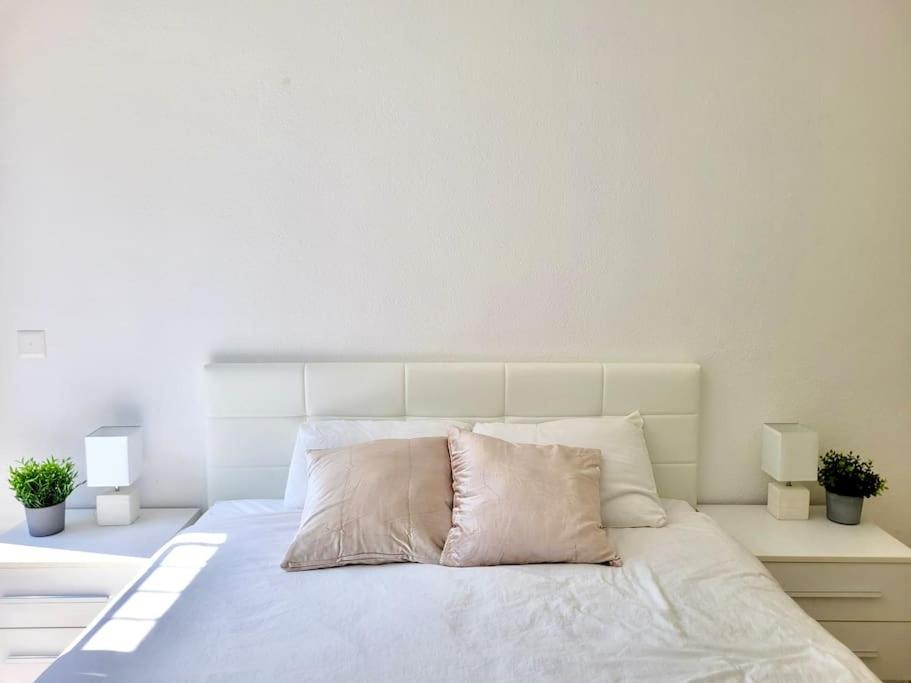 Apartment Palma - Central & Cozy With Free Private Parking Lugano Esterno foto