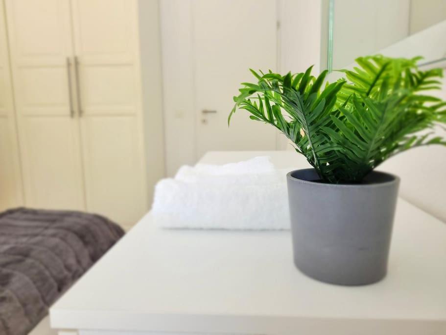 Apartment Palma - Central & Cozy With Free Private Parking Lugano Esterno foto